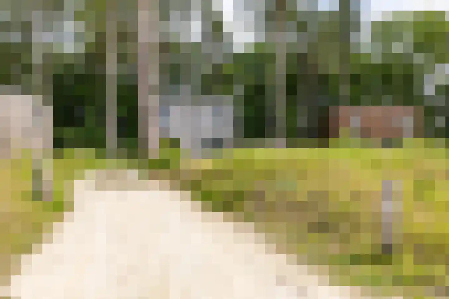 Schipborgerweg 19 28 Zeegse thumbnail 7