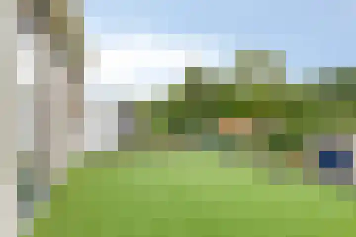 Schipborgerweg 31 A Zuidlaren thumbnail 4