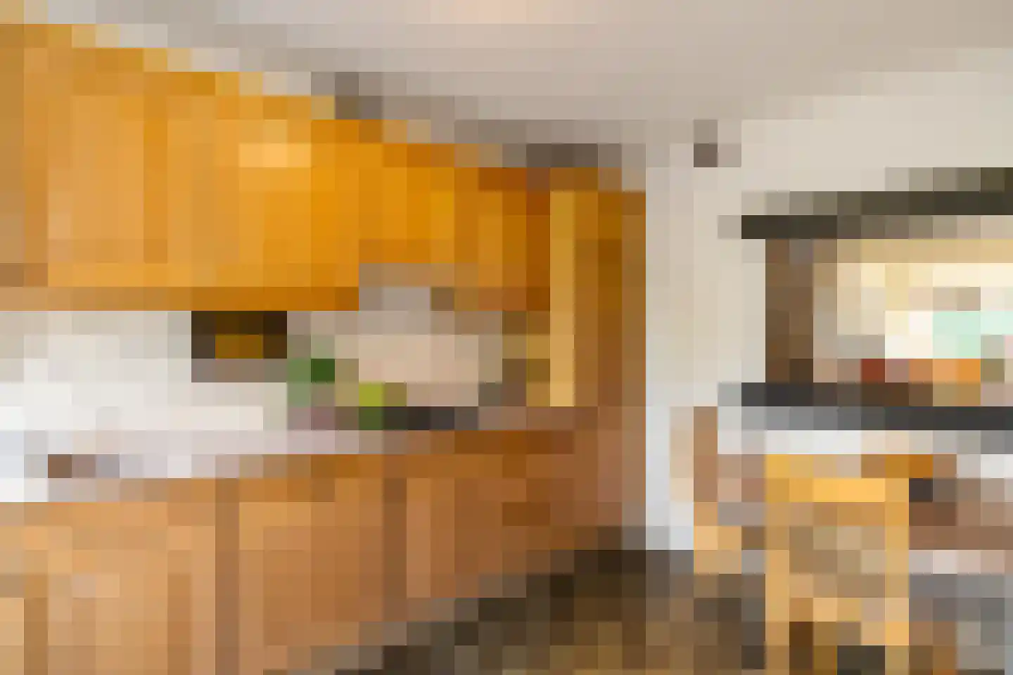 Schipborgerweg 37 Zuidlaren thumbnail 21