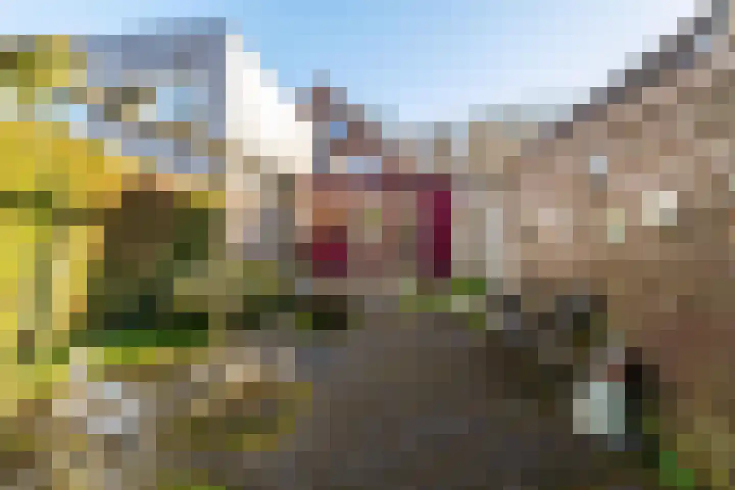 Schipborgerweg 37 Zuidlaren thumbnail 25