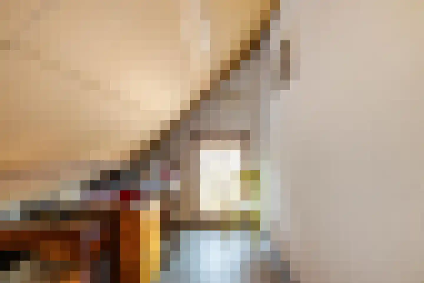 Schipborgerweg 37 Zuidlaren thumbnail 36