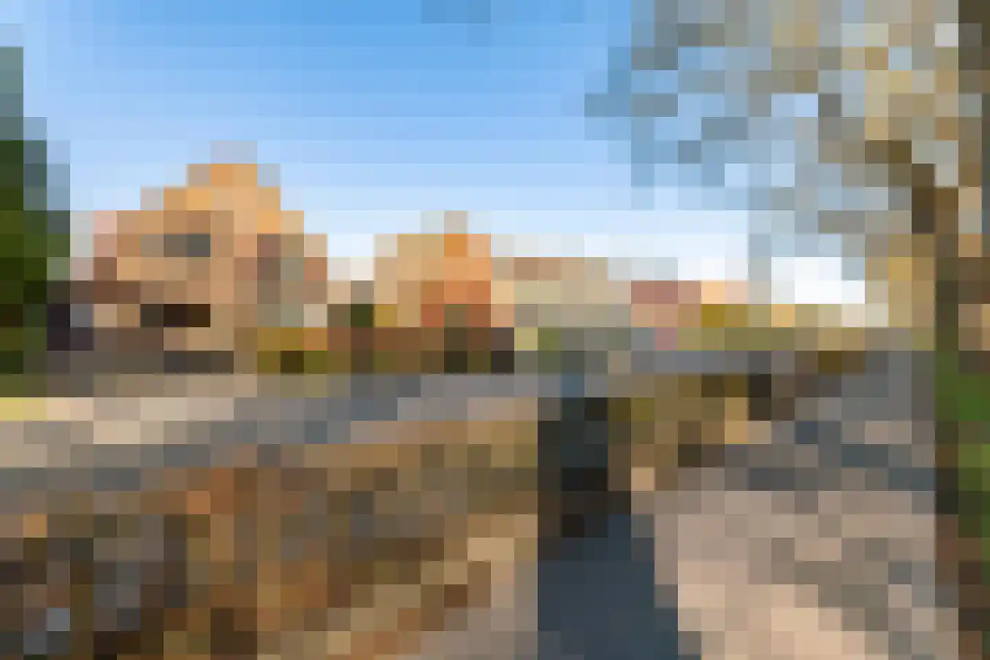 Schipborgerweg 37 Zuidlaren thumbnail 7