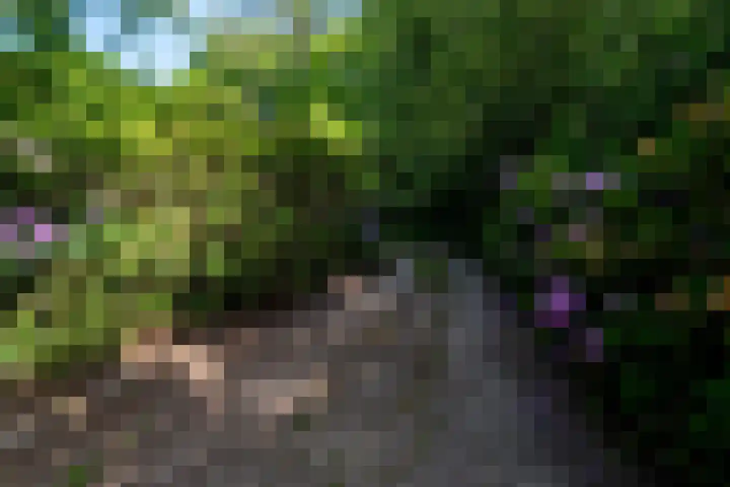 Schipborgerweg 9 Zeegse thumbnail 10