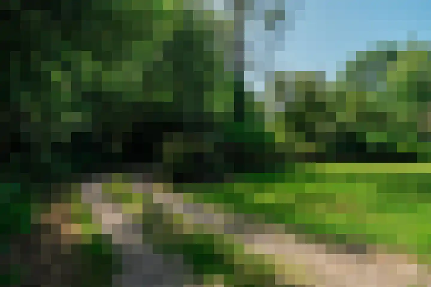 Schipborgerweg 9 Zeegse thumbnail 11