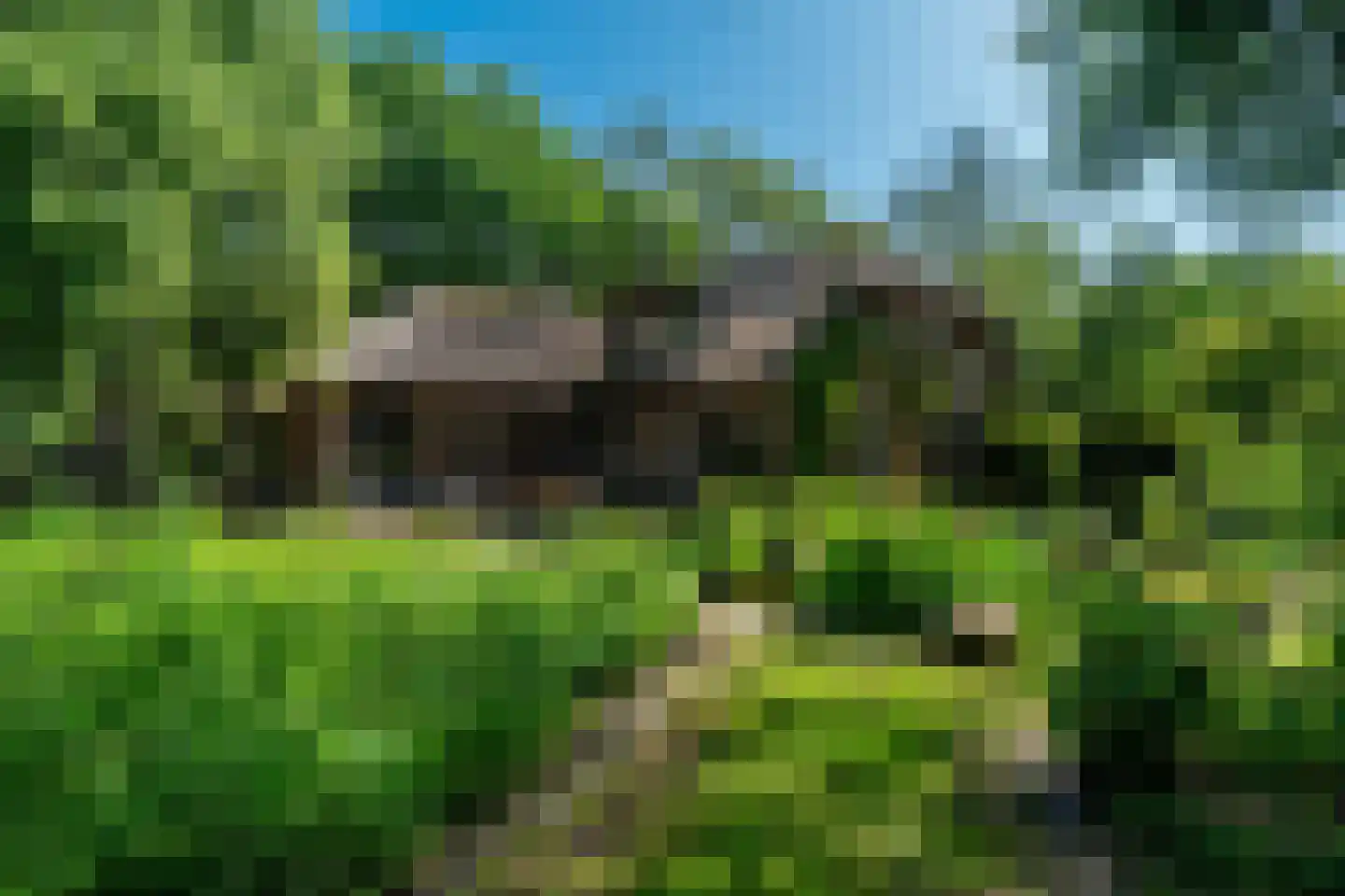 Schipborgerweg 9 Zeegse thumbnail 7