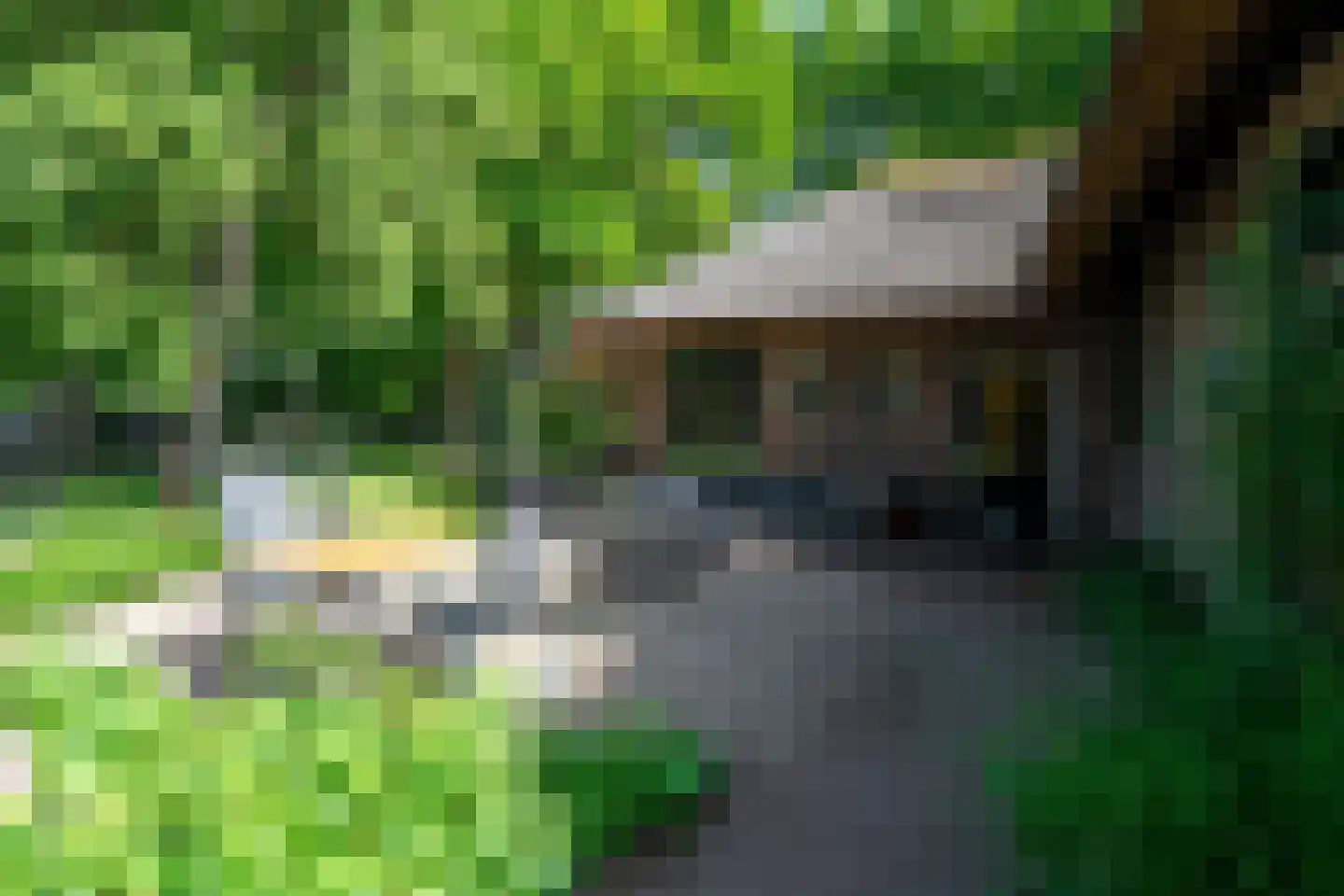 Schipborgerweg 9 Zeegse thumbnail 76