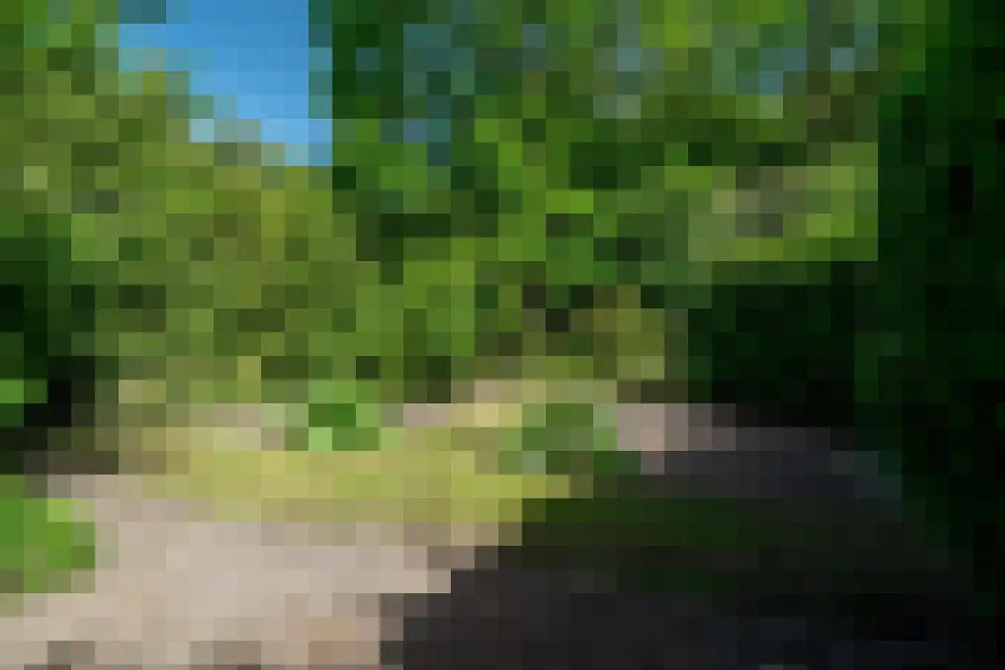 Schipborgerweg 9 Zeegse thumbnail 79