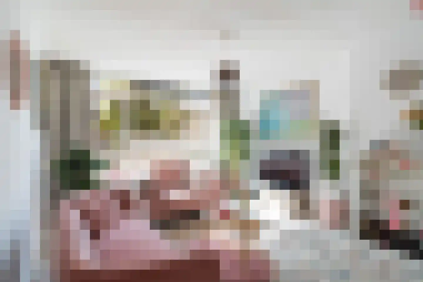 Schipborgstraat 37 Den Haag thumbnail 8