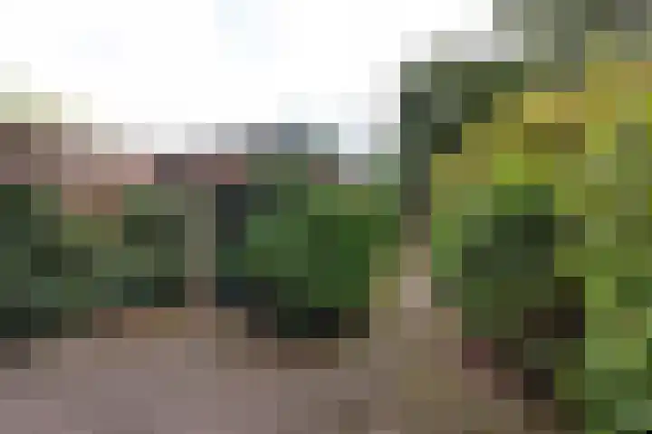 Schipbroekenweg 20 Santpoort-Noord thumbnail 10