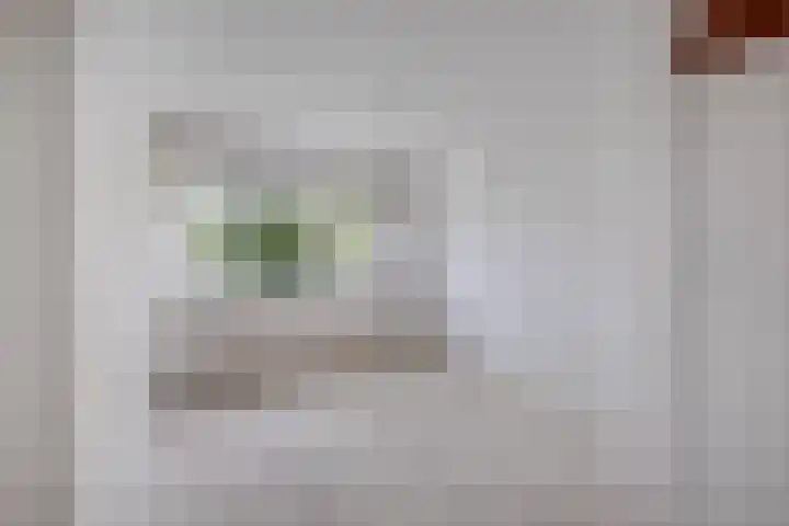 Schipbroekenweg 20 Santpoort-Noord thumbnail 18