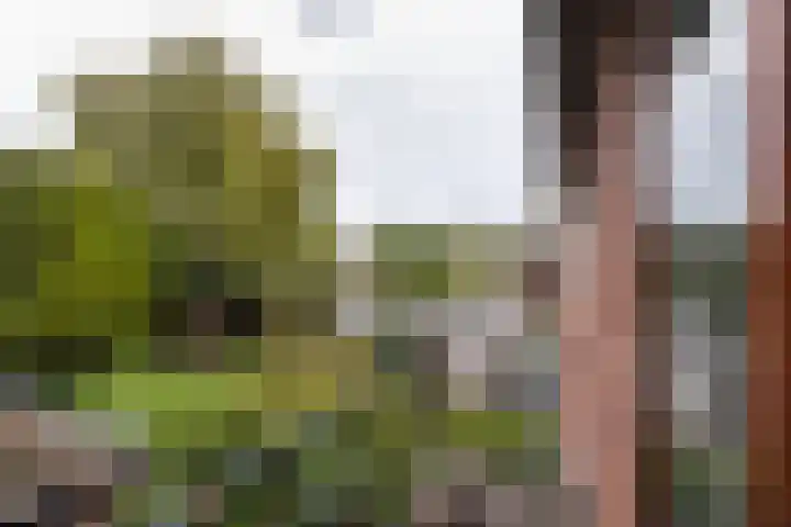 Schipbroekenweg 20 Santpoort-Noord thumbnail 21