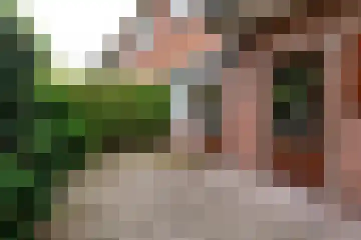 Schipbroekenweg 20 Santpoort-Noord thumbnail 25
