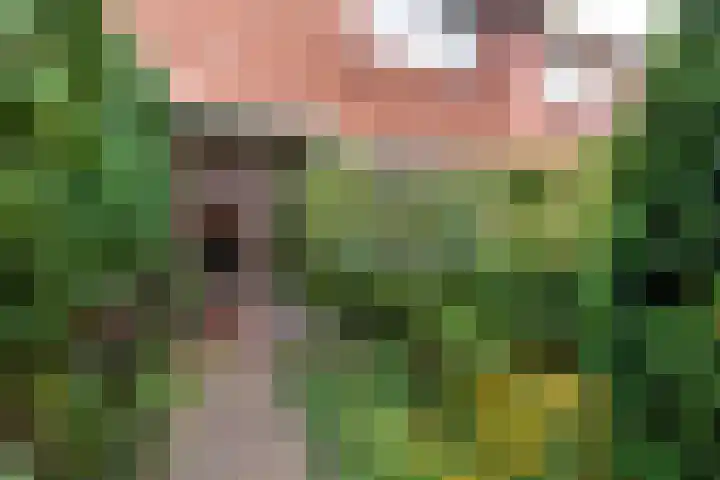 Schipbroekenweg 20 Santpoort-Noord thumbnail 26