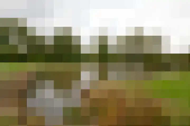 Schipbroekenweg 20 Santpoort-Noord thumbnail 30
