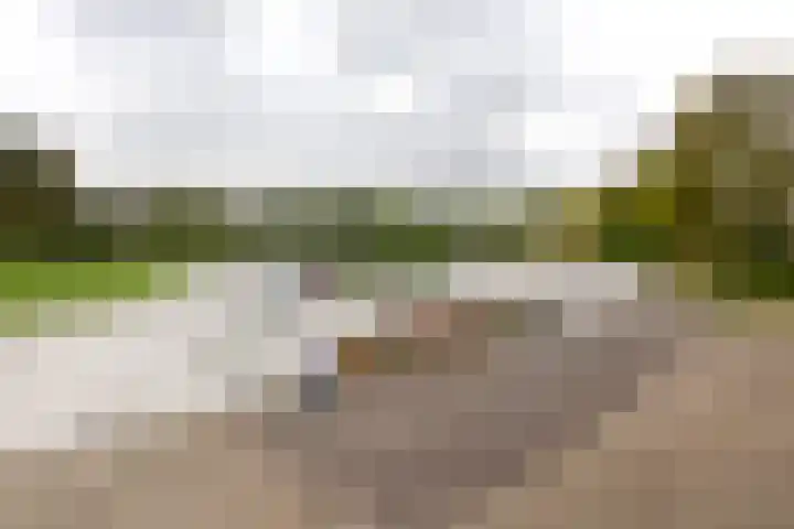 Schipbroekenweg 20 Santpoort-Noord thumbnail 31