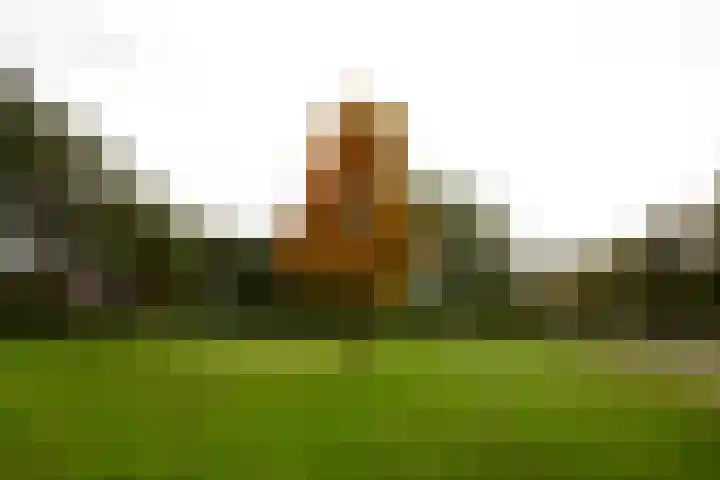 Schipbroekenweg 20 Santpoort-Noord thumbnail 32
