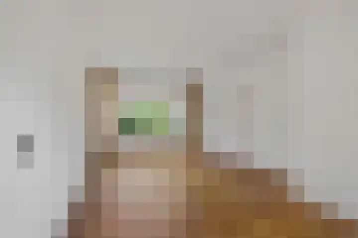 Schipbroekenweg 20 Santpoort-Noord thumbnail 4