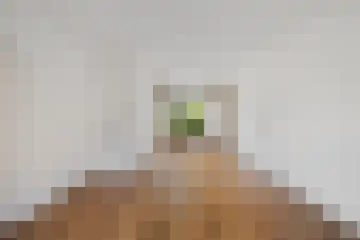 Schipbroekenweg 20 Santpoort-Noord thumbnail 6