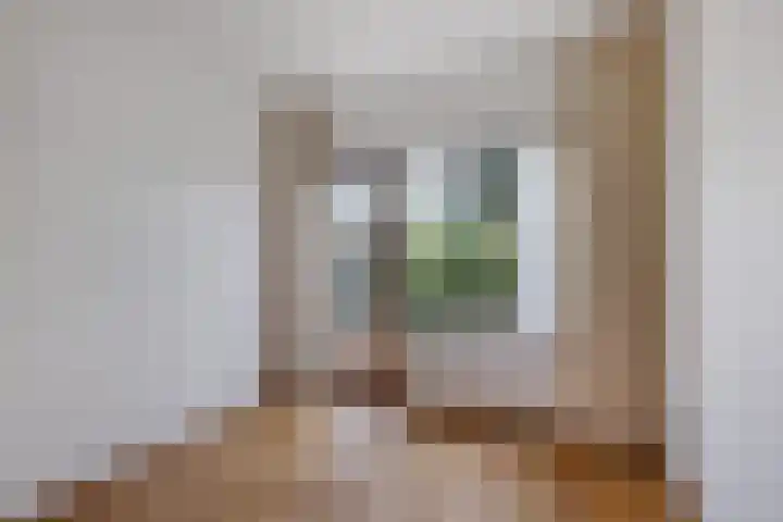 Schipbroekenweg 20 Santpoort-Noord thumbnail 8