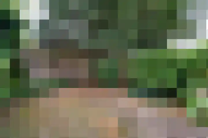 Schipbroekenweg 20 Santpoort-Noord thumbnail 9