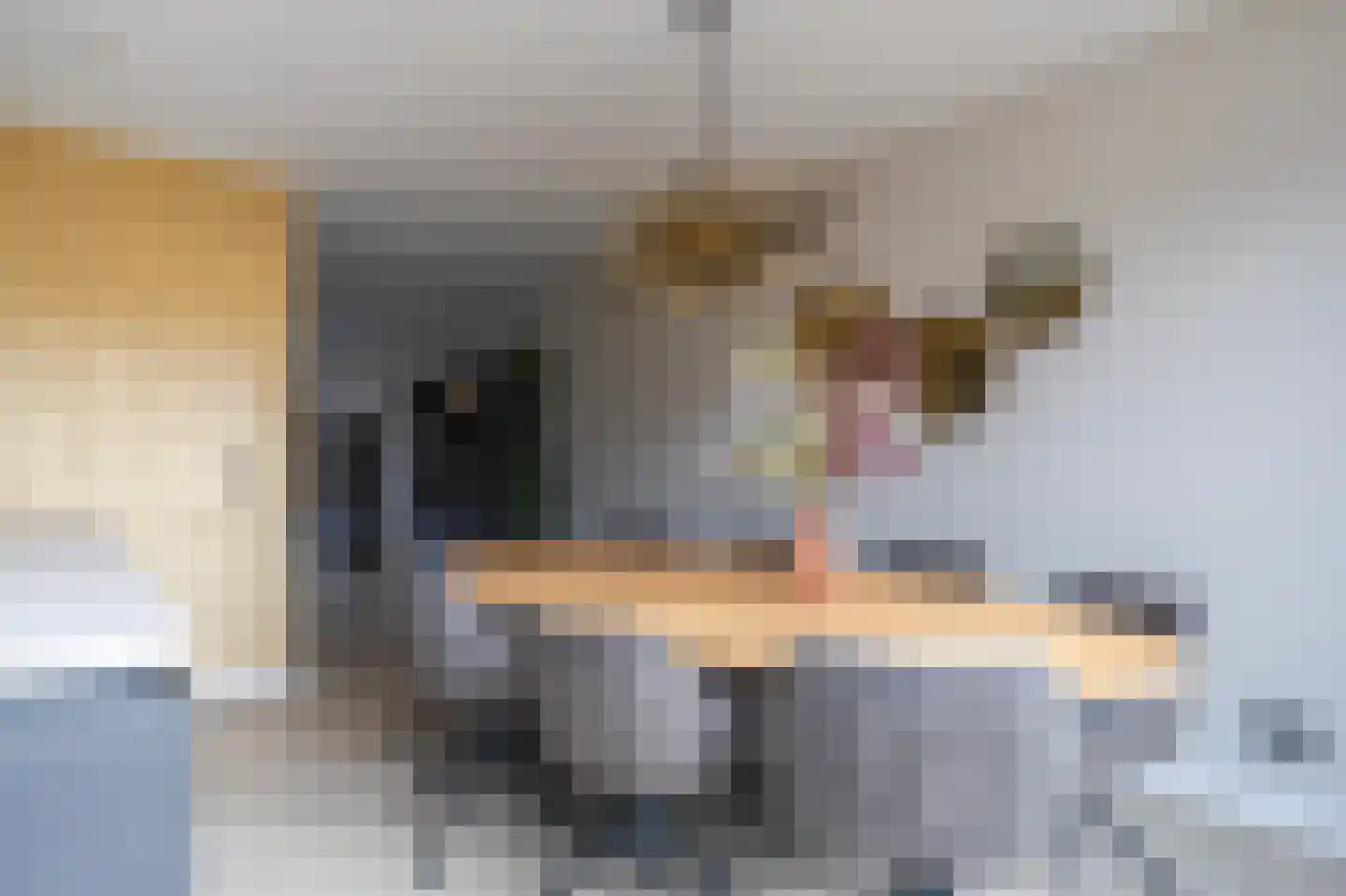 Schipbrug 11 Arnhem thumbnail 13