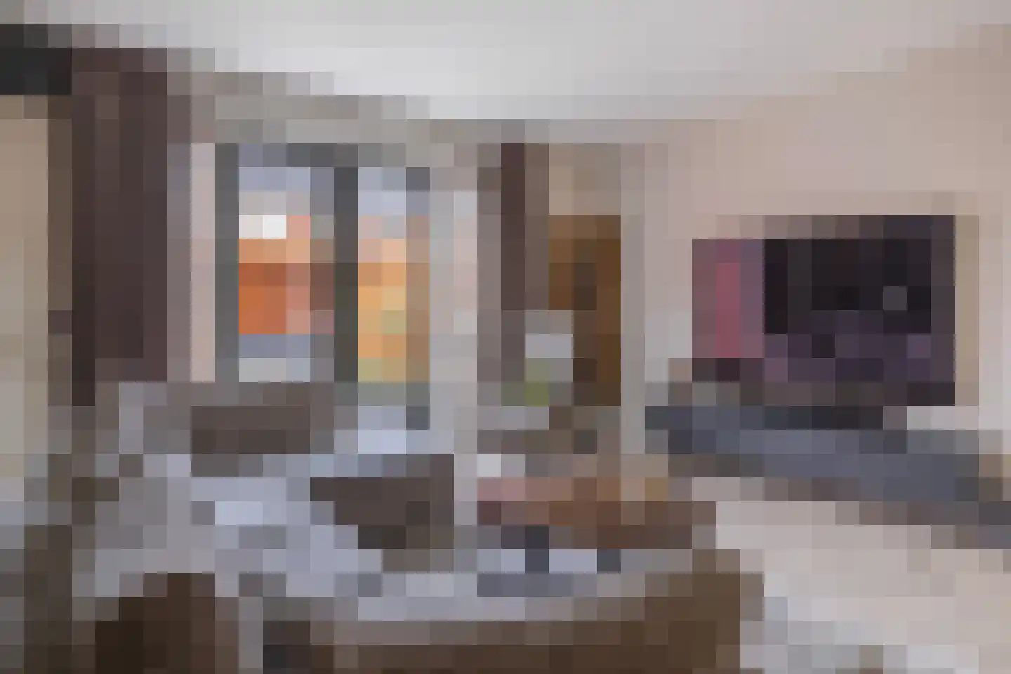 Schipbrug 11 Arnhem thumbnail 14
