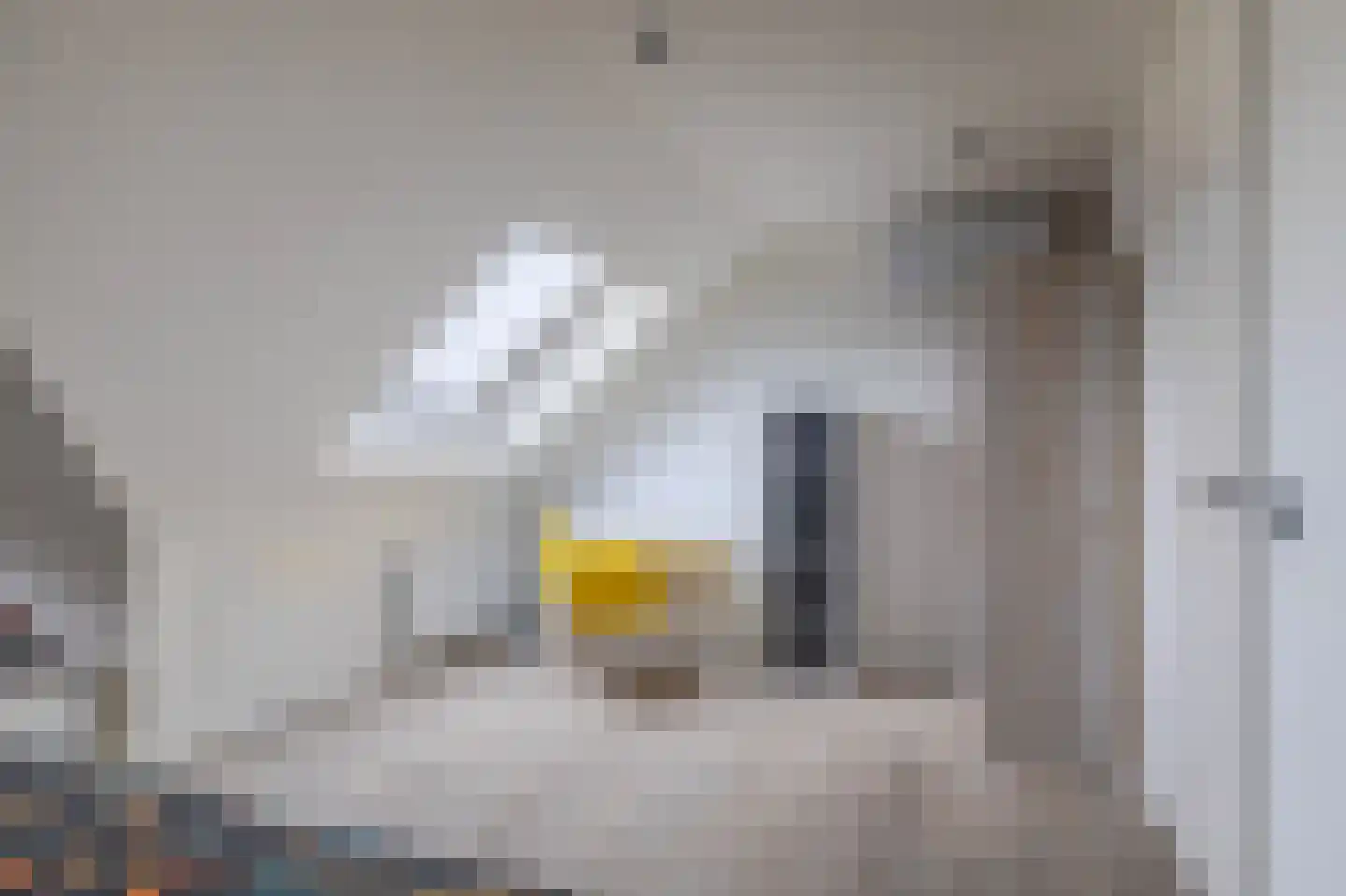 Schipbrug 11 Arnhem thumbnail 28