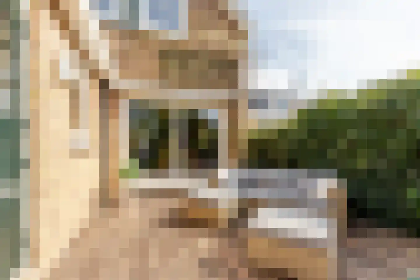 Schipholdijk 261 Oude Meer thumbnail 15