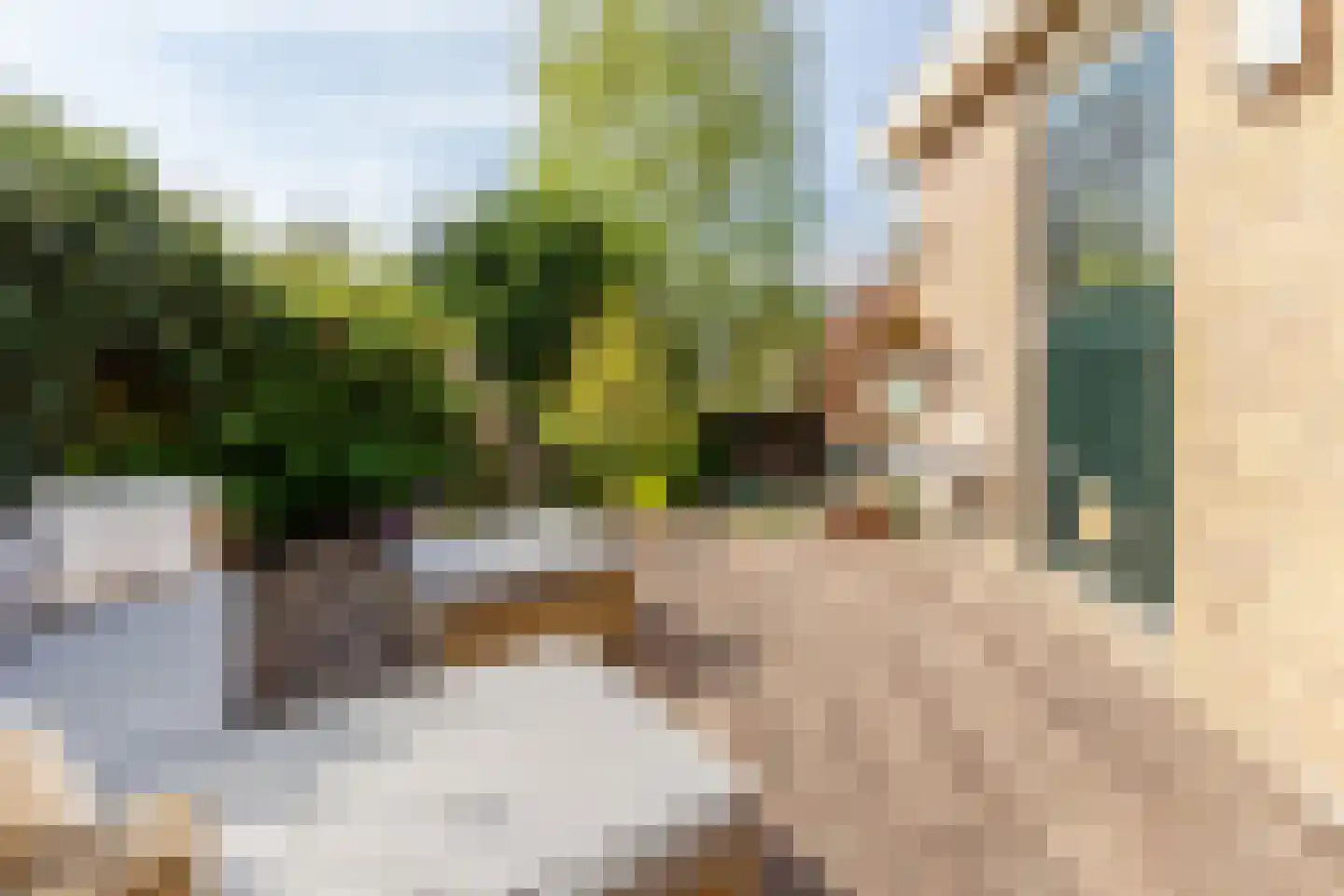 Schipholdijk 261 Oude Meer thumbnail 16