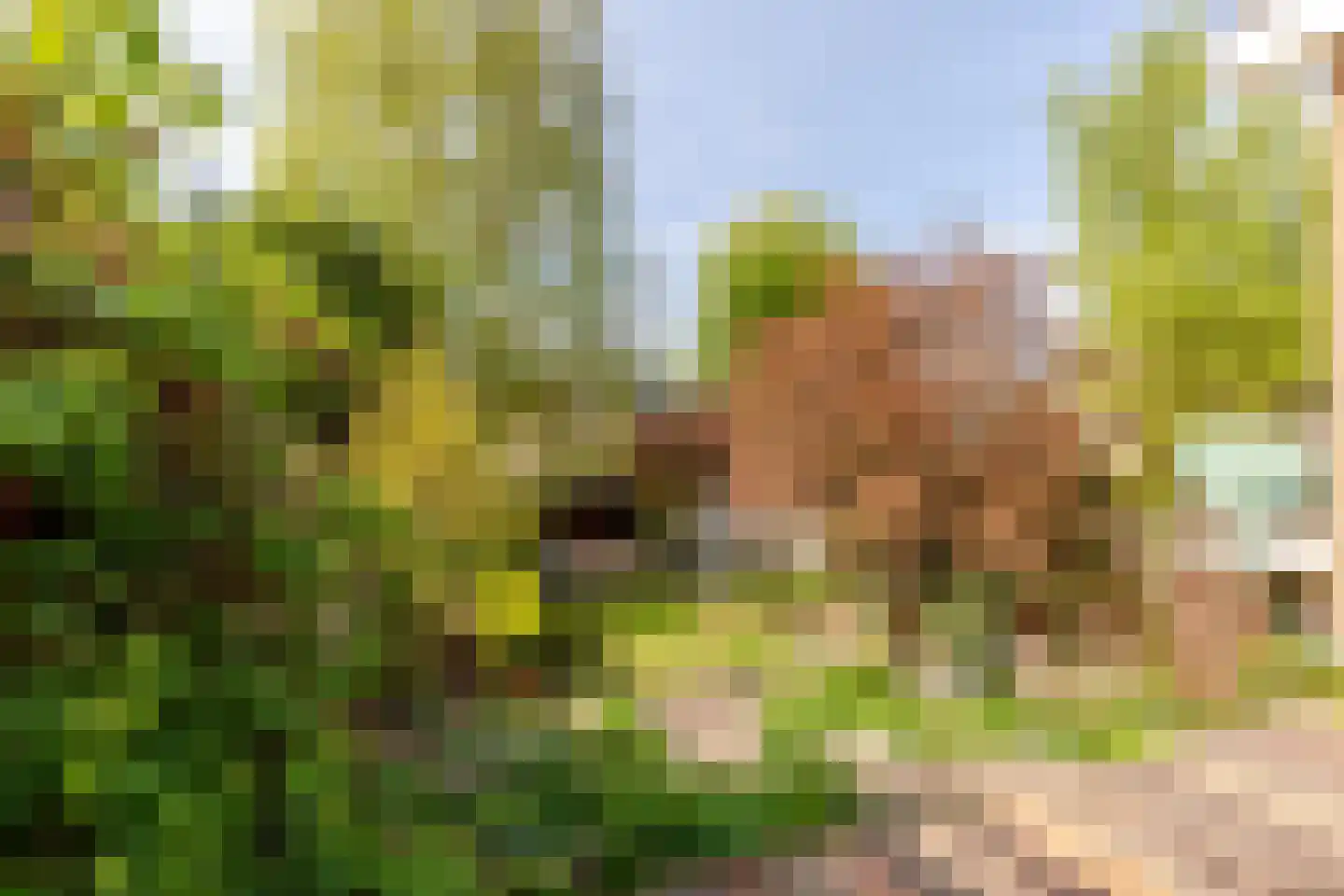Schipholdijk 261 Oude Meer thumbnail 17