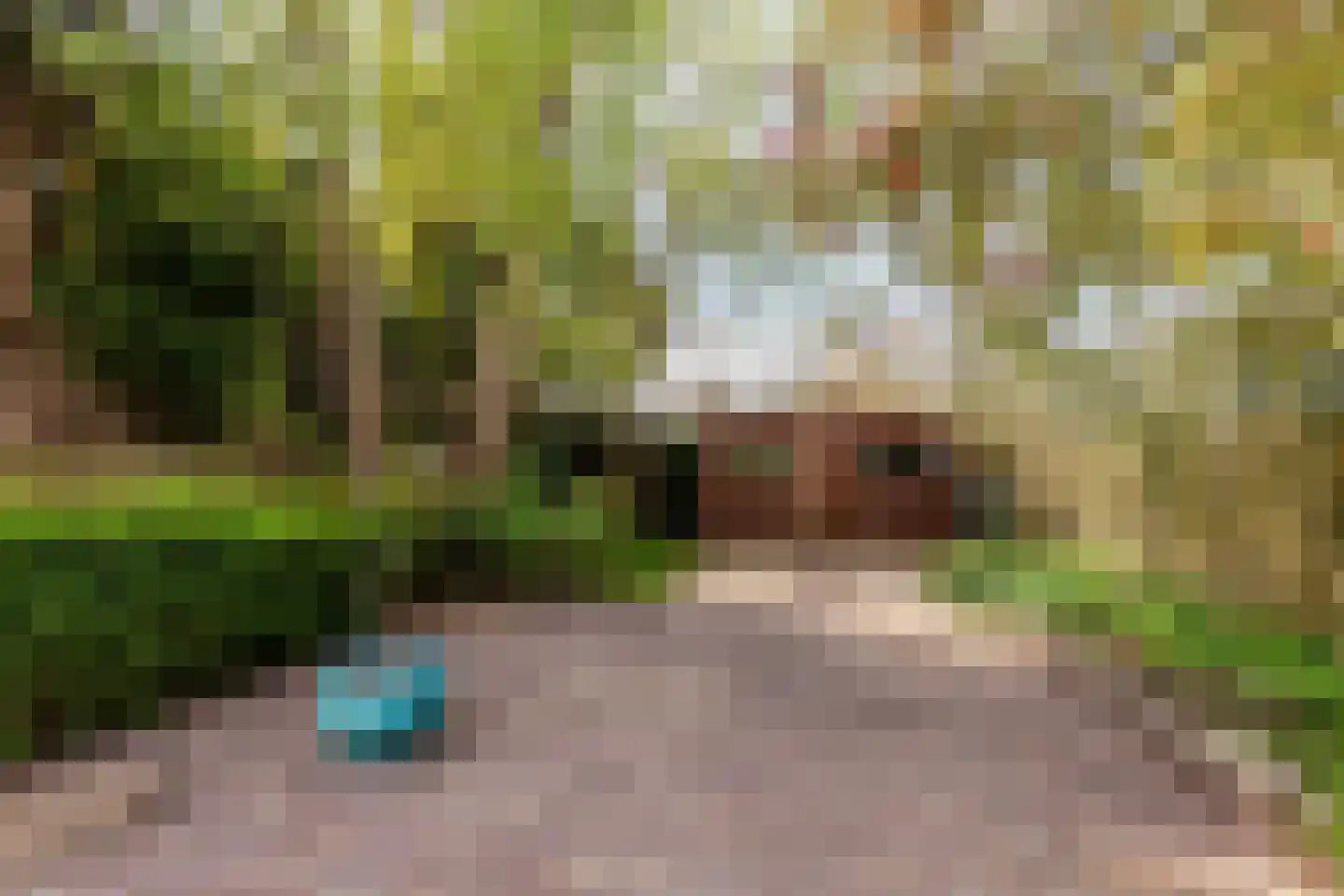 Schipholdijk 261 Oude Meer thumbnail 18