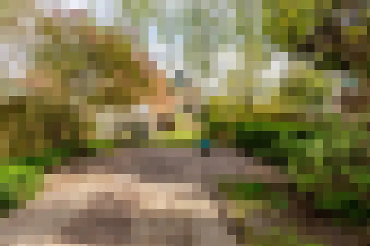 Schipholdijk 261 Oude Meer thumbnail 19