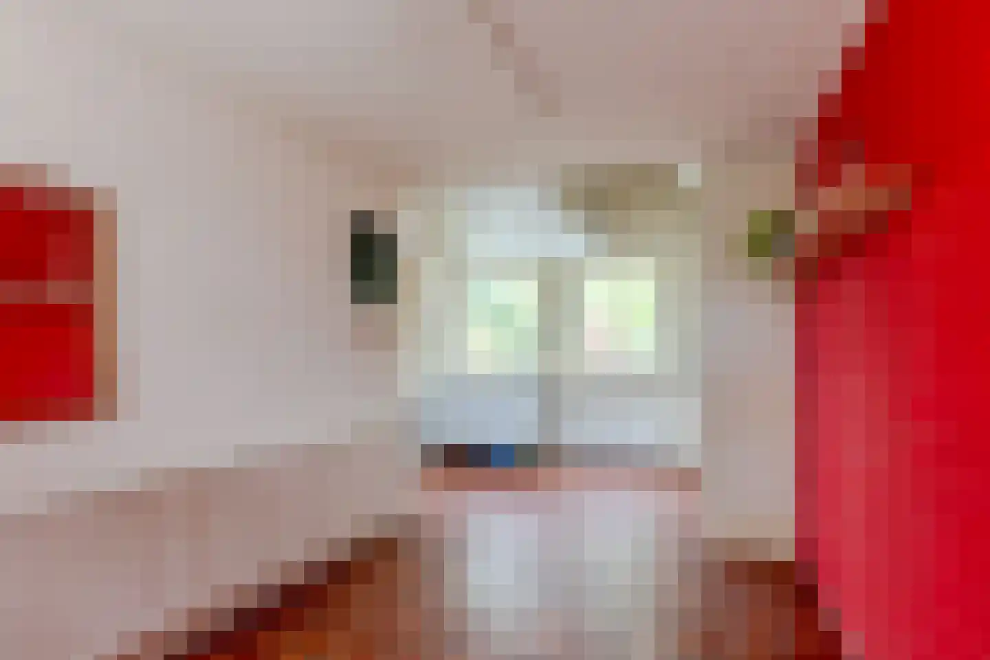 Schipholdijk 261 Oude Meer thumbnail 33