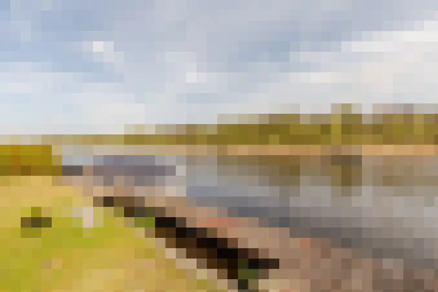 Schipholdijk 261 Oude Meer thumbnail 38