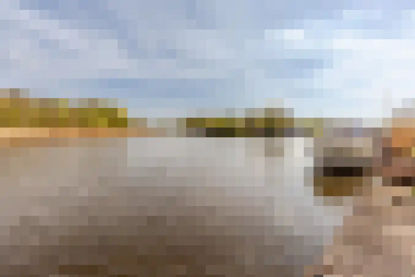 Schipholdijk 261 Oude Meer thumbnail 39