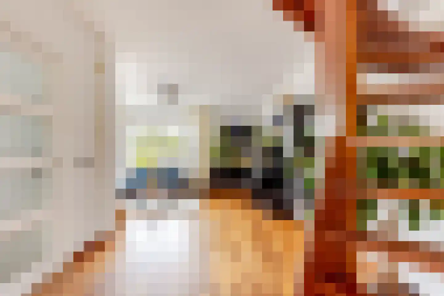 Schipholdijk 261 Oude Meer thumbnail 4