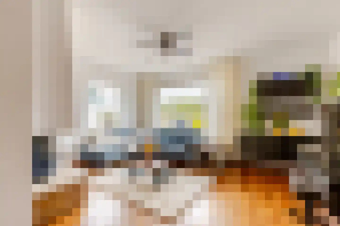 Schipholdijk 261 Oude Meer thumbnail 5