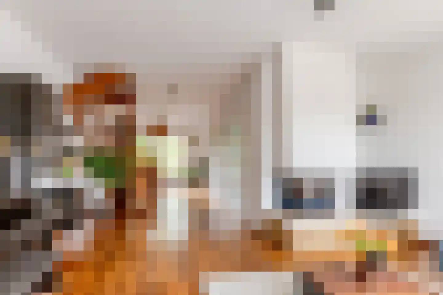 Schipholdijk 261 Oude Meer thumbnail 9