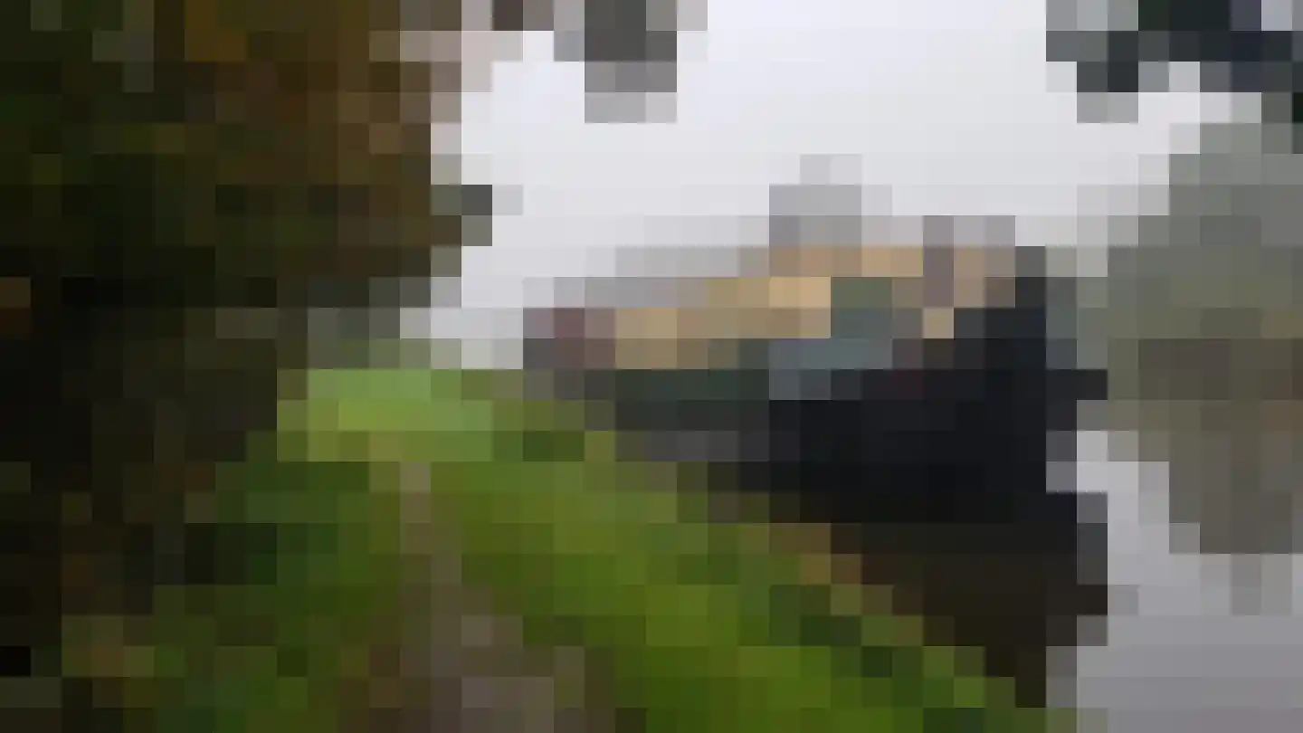 Schipholdijk 8 Amstelveen thumbnail 28