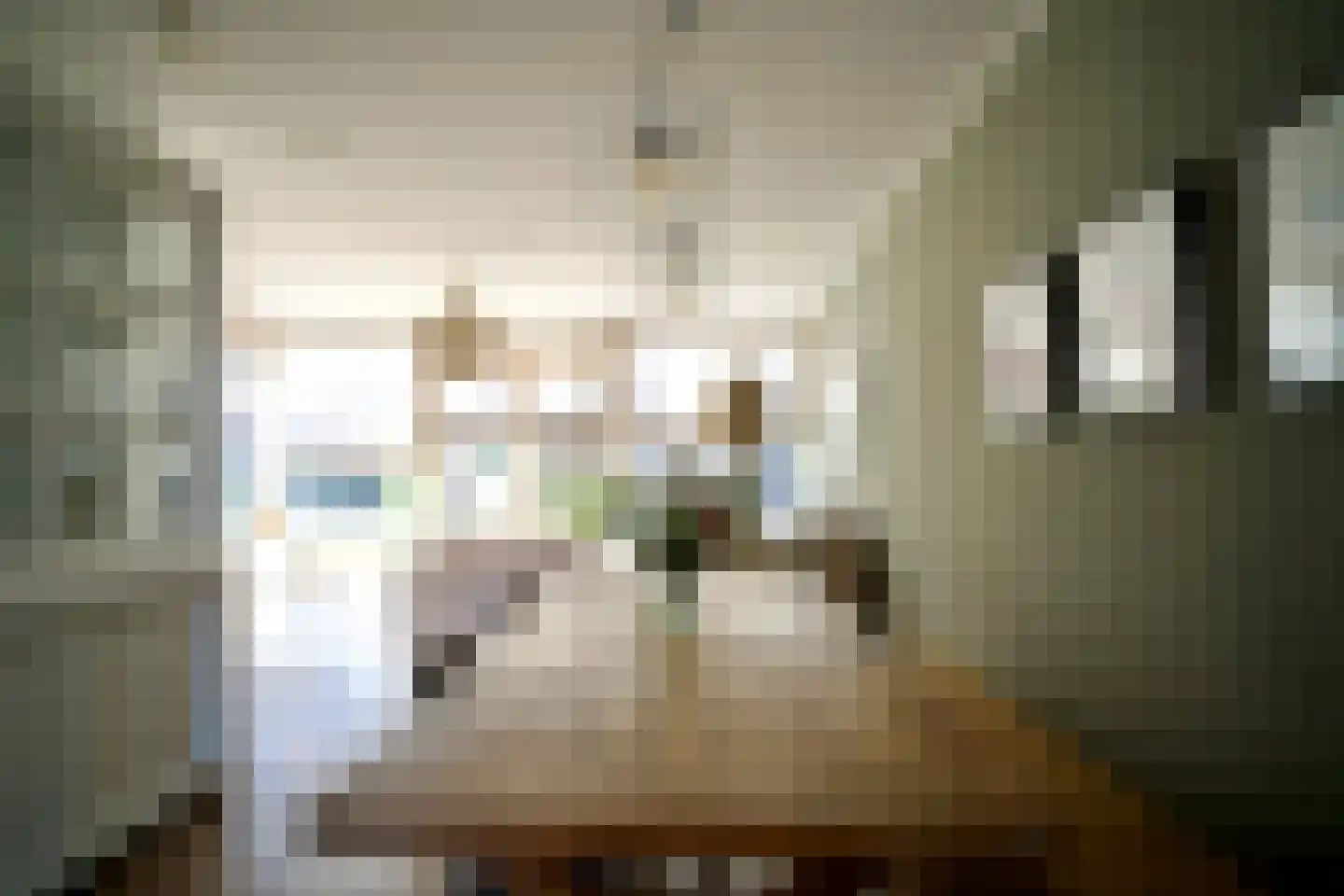 Schiphollaan 13 Nootdorp thumbnail 15