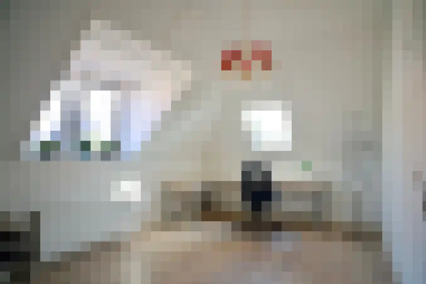 Schiphollaan 13 Nootdorp thumbnail 27