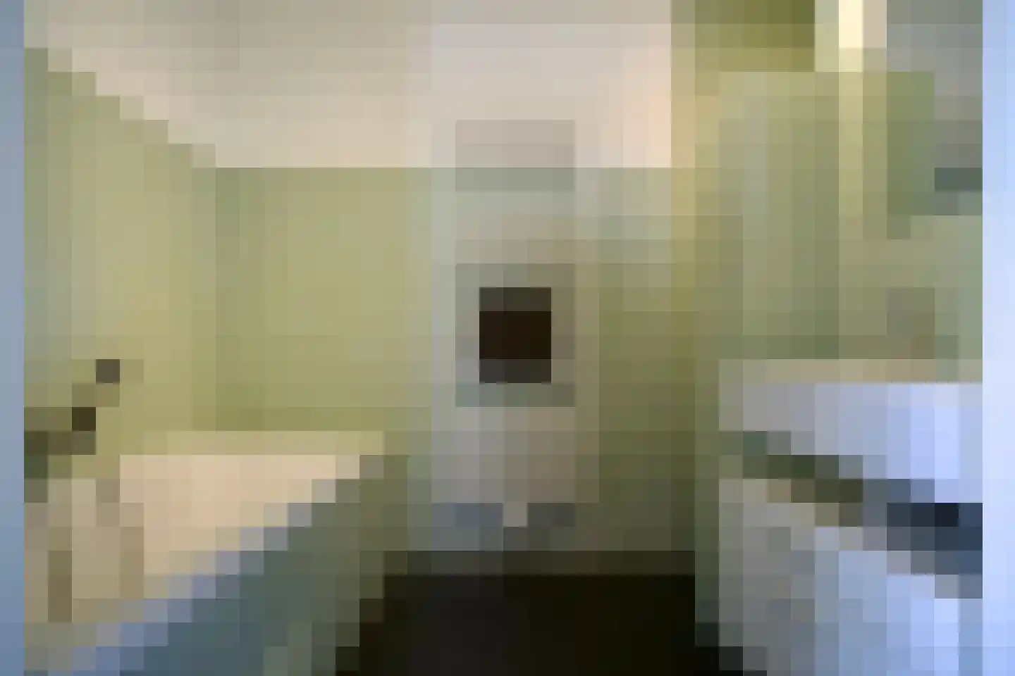 Schiphollaan 13 Nootdorp thumbnail 29