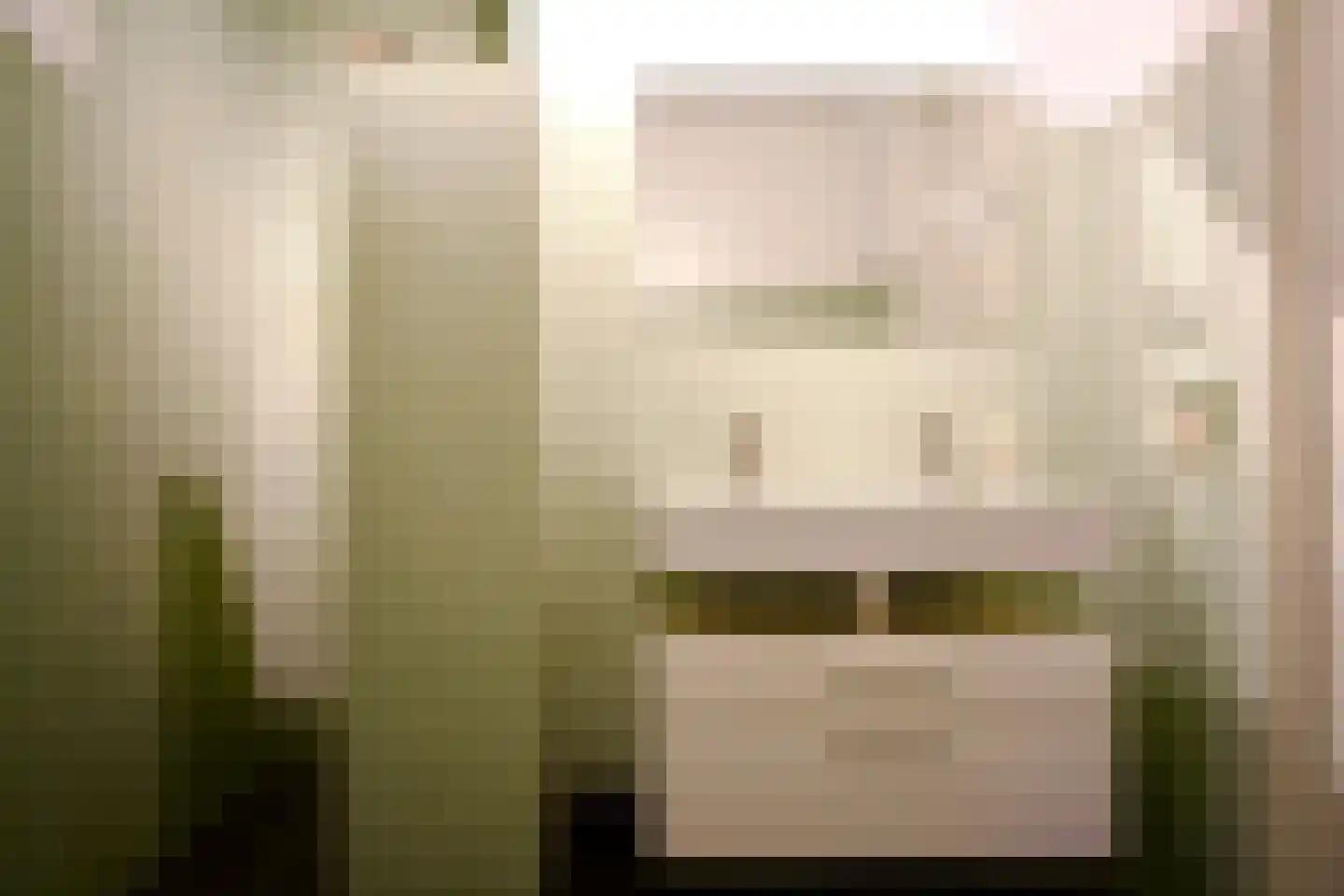Schiphollaan 13 Nootdorp thumbnail 30