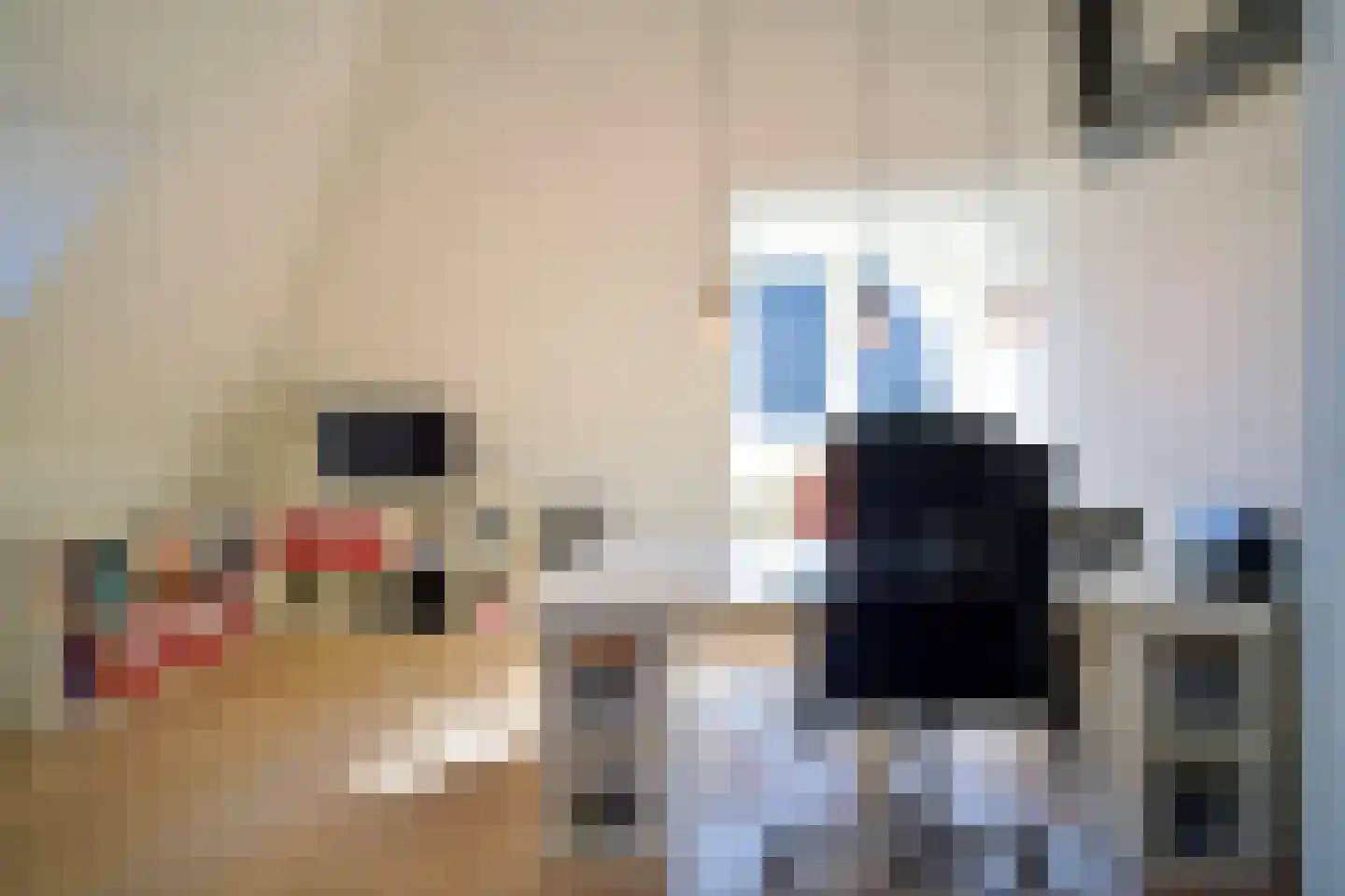 Schiphollaan 13 Nootdorp thumbnail 34