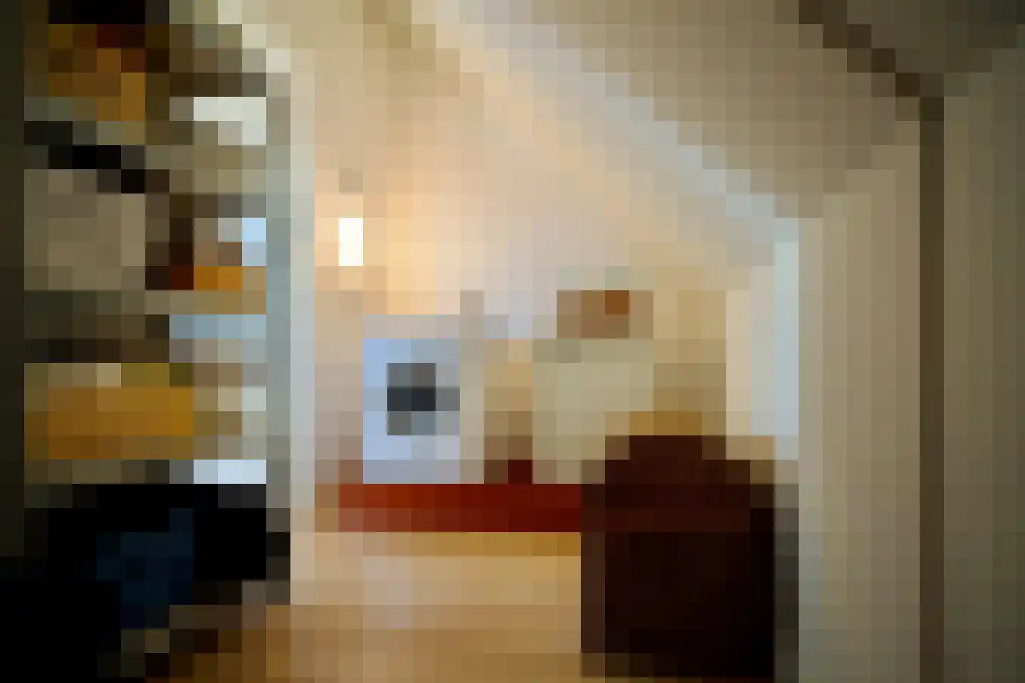 Schiphollaan 13 Nootdorp thumbnail 35