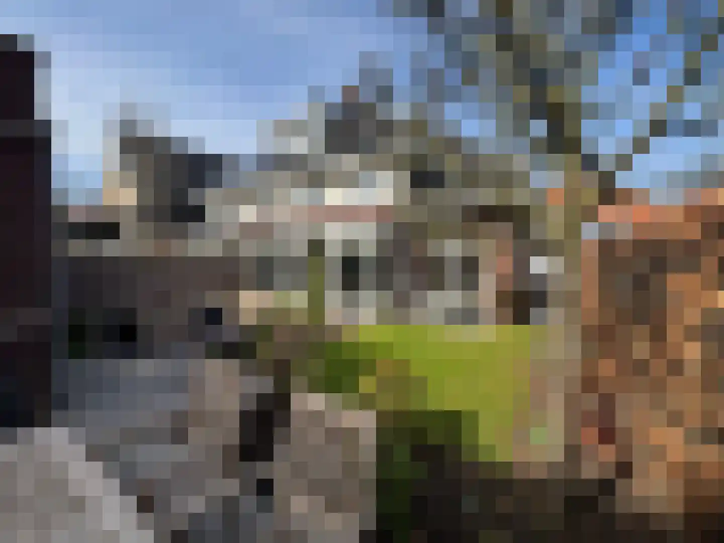 Schiphollaan 13 Nootdorp thumbnail 37