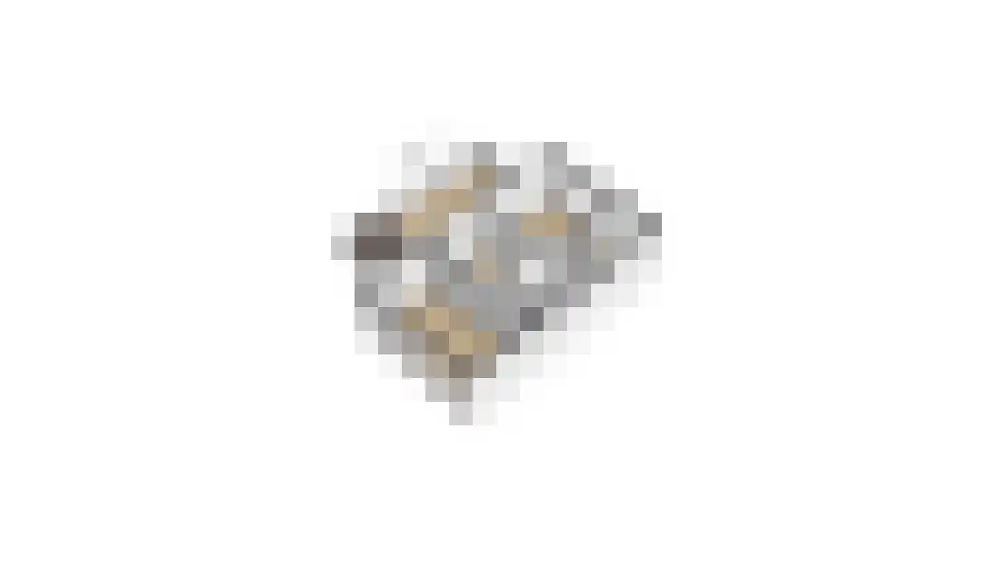 Schiphollaan 13 Nootdorp thumbnail 47