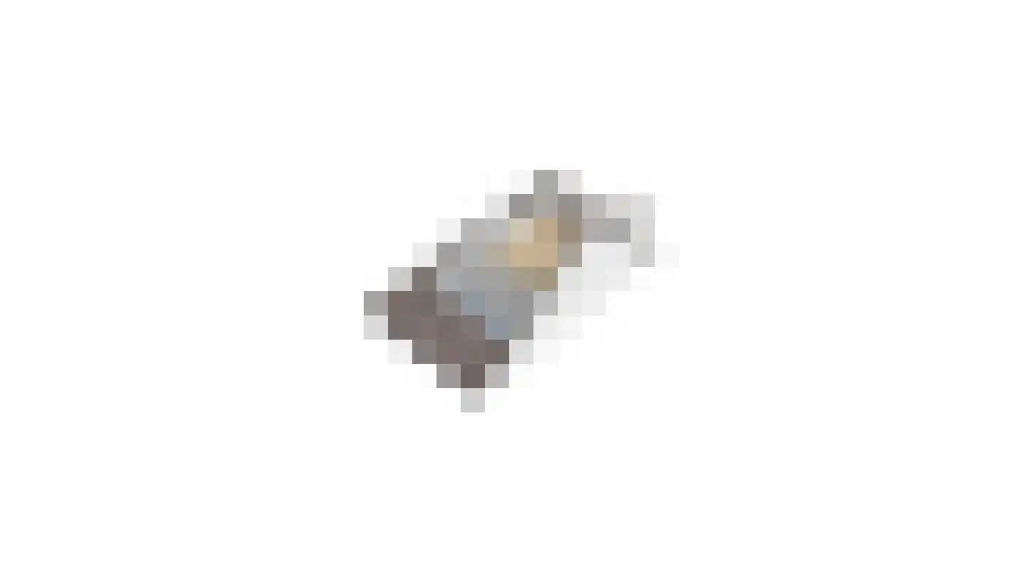 Schiphollaan 13 Nootdorp thumbnail 48