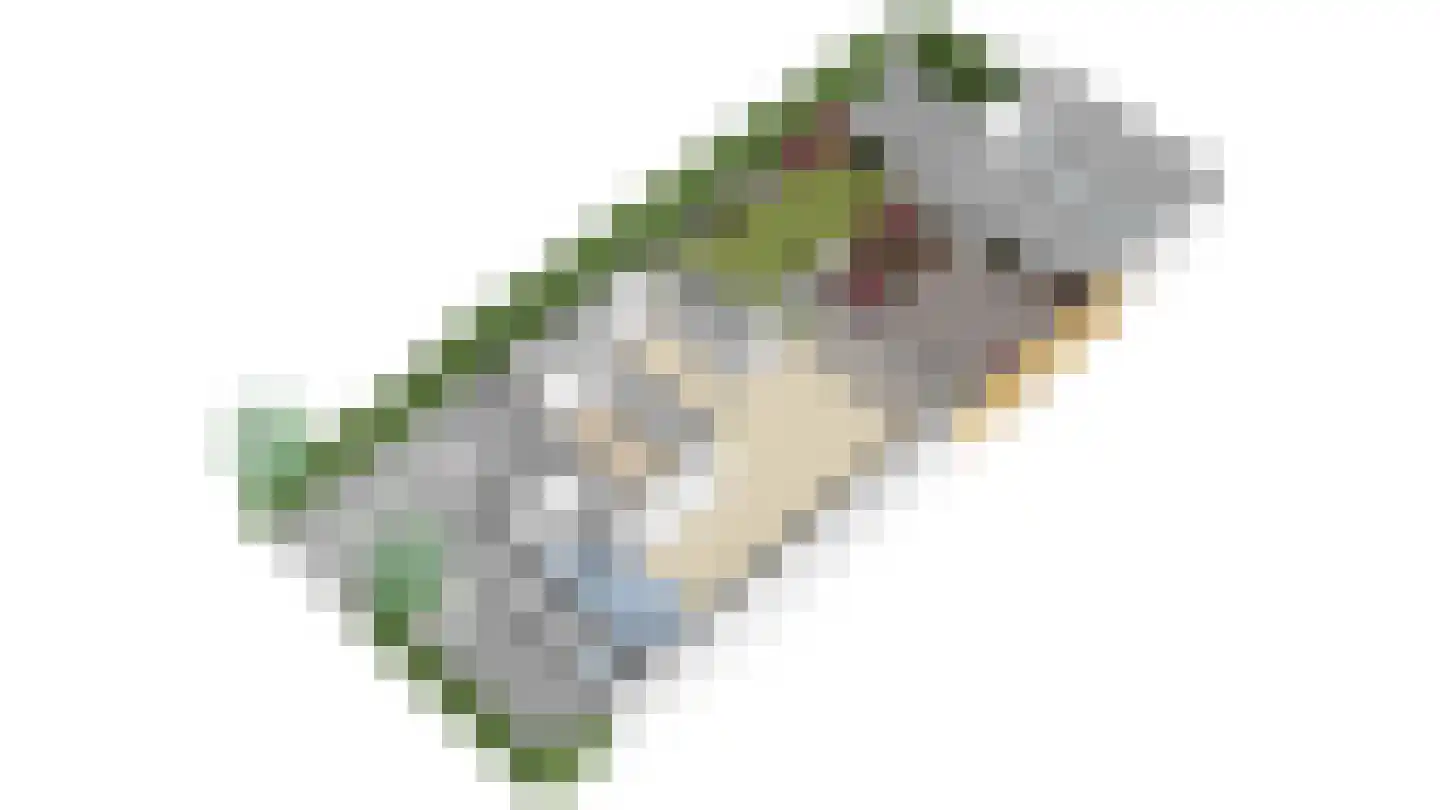 Schiphollaan 13 Nootdorp thumbnail 49