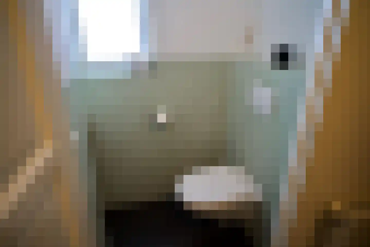 Schiphollaan 13 Nootdorp thumbnail 9